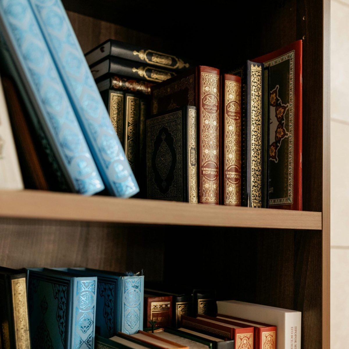 pexels-a-darmel-8164399